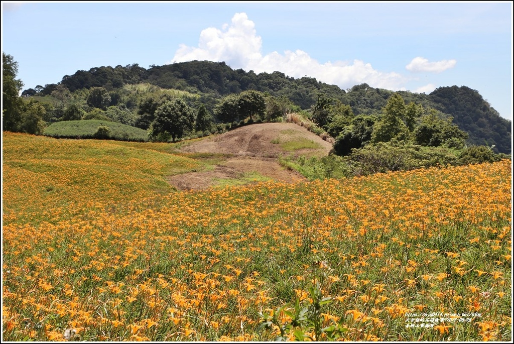 赤柯山萱園居-2022-08-03.jpg