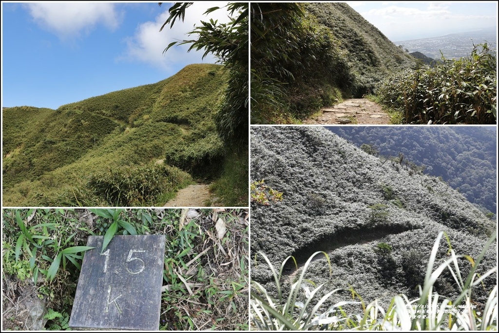 宜蘭聖母登山步道-2022-09-35.jpg 宜蘭聖母登山步道-2022-09-35.jpg