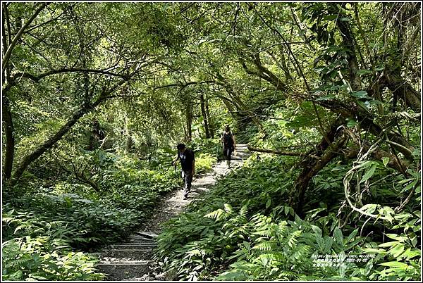 宜蘭聖母登山步道-2022-09-40.jpg