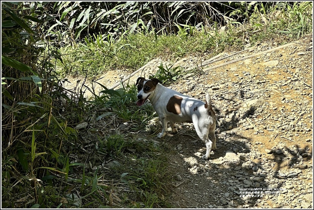 宜蘭聖母登山步道-2022-09-61.jpg 宜蘭聖母登山步道-2022-09-61.jpg