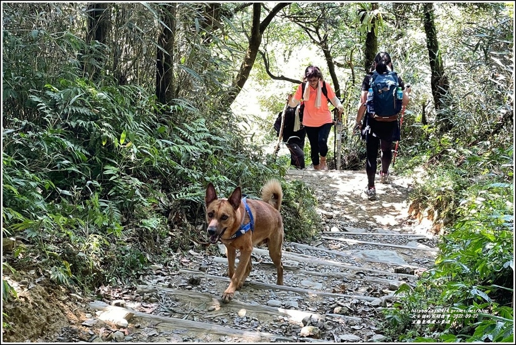 宜蘭聖母登山步道-2022-09-62.jpg 宜蘭聖母登山步道-2022-09-62.jpg