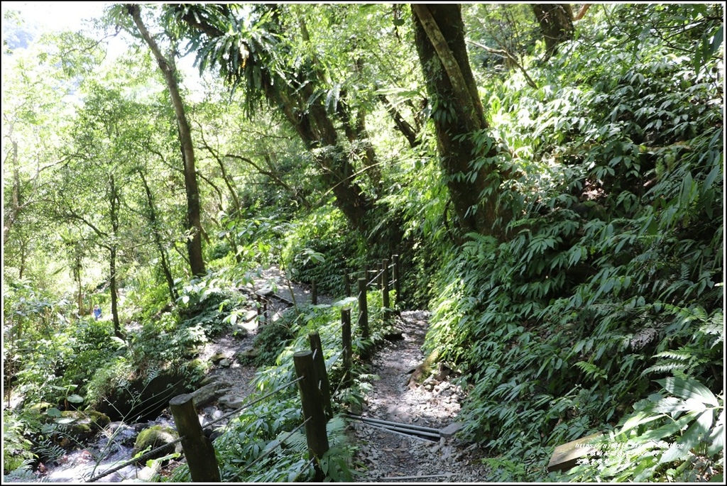 宜蘭聖母登山步道-2022-09-68.jpg 宜蘭聖母登山步道-2022-09-68.jpg