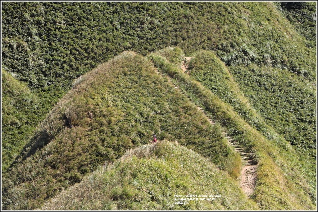 宜蘭礁溪抹茶山-2022-09-45.jpg 宜蘭礁溪抹茶山-2022-09-45.jpg