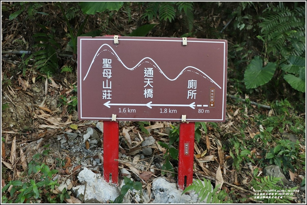 宜蘭五峰旗風景特定區-2022-09-61.jpg 宜蘭五峰旗風景特定區-2022-09-61.jpg