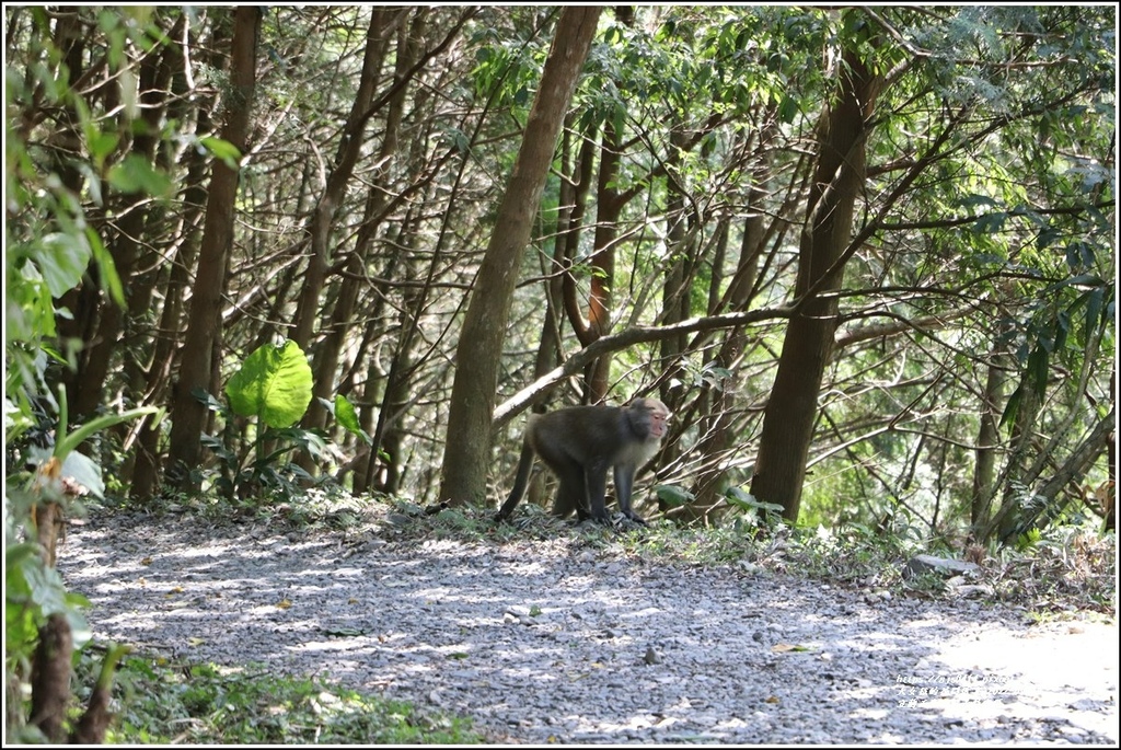 宜蘭五峰旗風景特定區-2022-09-66.jpg 宜蘭五峰旗風景特定區-2022-09-66.jpg