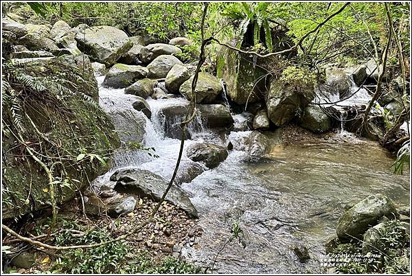 草嶺古道芒花季-2022-11-24.jpg