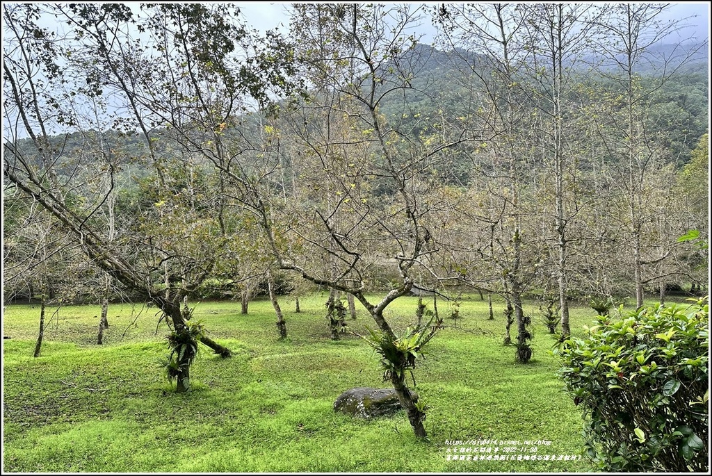 富源國家森林遊樂園(花蓮蝴蝶谷溫泉渡假村)-2022-11-06.jpg