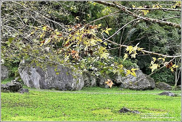 富源國家森林遊樂園(花蓮蝴蝶谷溫泉渡假村)-2022-11-09.jpg