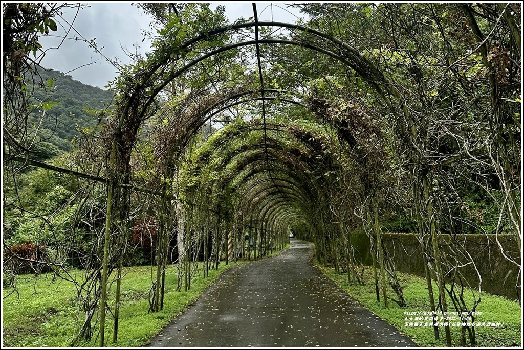 富源國家森林遊樂園(花蓮蝴蝶谷溫泉渡假村)-2022-11-13.jpg 富源國家森林遊樂園(花蓮蝴蝶谷溫泉渡假村)-2022-11-13.jpg