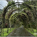 富源國家森林遊樂園(花蓮蝴蝶谷溫泉渡假村)-2022-11-13.jpg