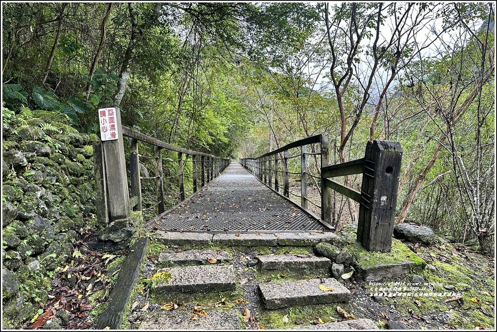 富源國家森林遊樂園(花蓮蝴蝶谷溫泉渡假村)-2022-11-25.jpg