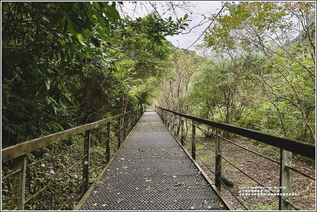 富源國家森林遊樂園(花蓮蝴蝶谷溫泉渡假村)-2022-11-28.jpg