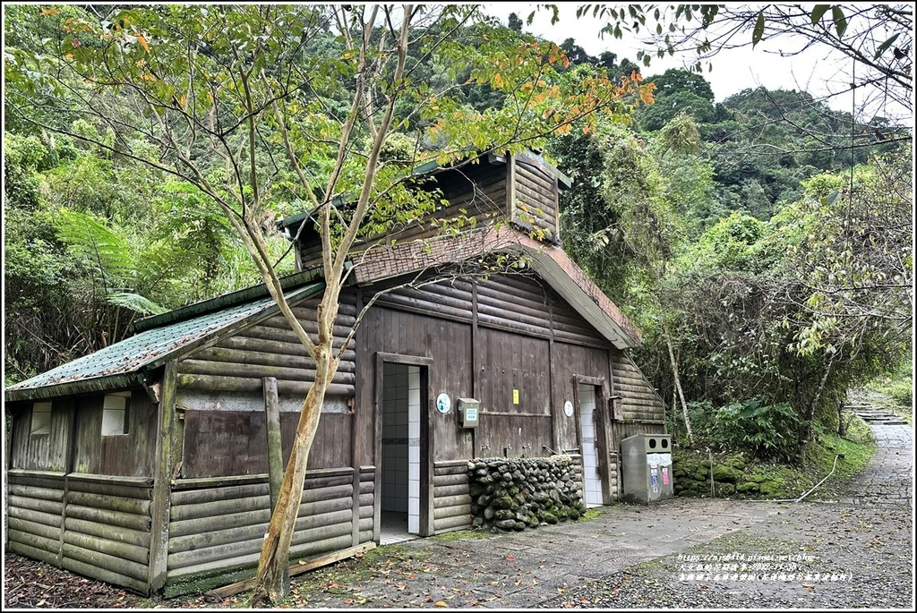 富源國家森林遊樂園(花蓮蝴蝶谷溫泉渡假村)-2022-11-31.jpg