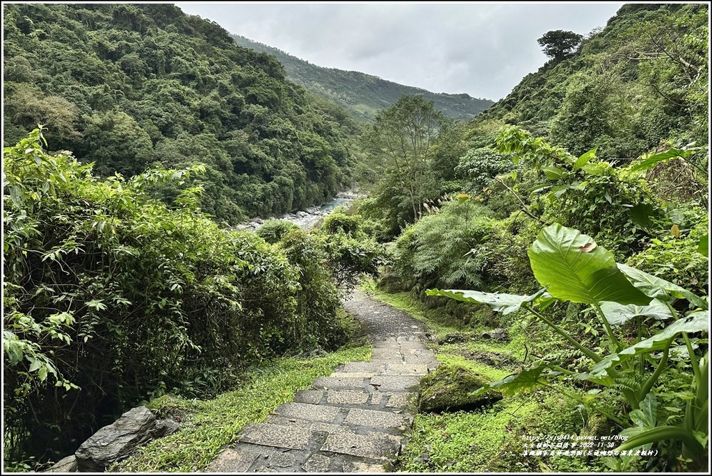 富源國家森林遊樂園(花蓮蝴蝶谷溫泉渡假村)-2022-11-34.jpg