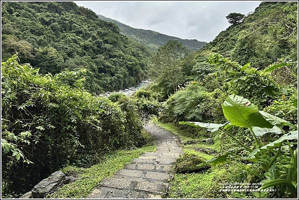 富源國家森林遊樂園(花蓮蝴蝶谷溫泉渡假村)-2022-11-34.jpg