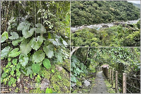 富源國家森林遊樂園(花蓮蝴蝶谷溫泉渡假村)-2022-11-35.jpg