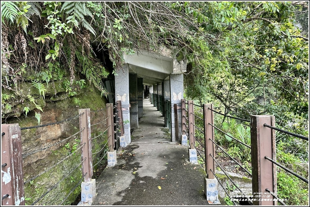 富源國家森林遊樂園(花蓮蝴蝶谷溫泉渡假村)-2022-11-38.jpg 富源國家森林遊樂園(花蓮蝴蝶谷溫泉渡假村)-2022-11-38.jpg