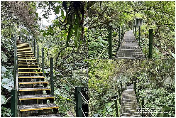 富源國家森林遊樂園(花蓮蝴蝶谷溫泉渡假村)-2022-11-48.jpg