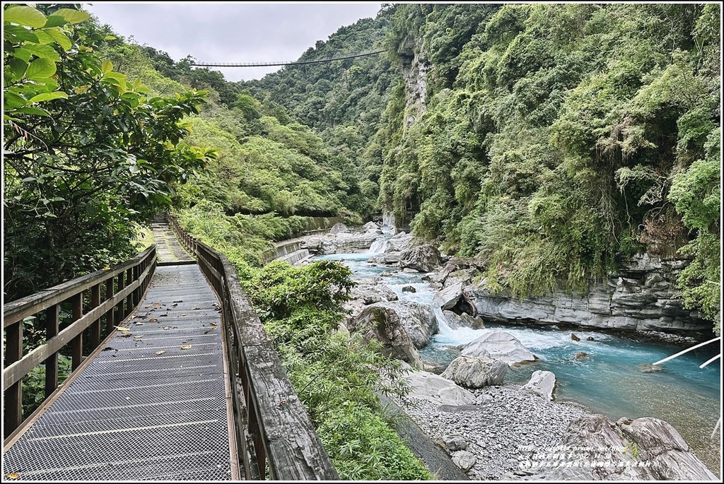 富源國家森林遊樂園(花蓮蝴蝶谷溫泉渡假村)-2022-11-50.jpg