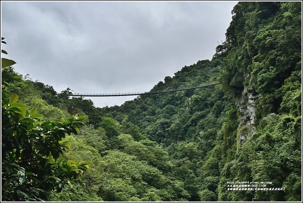 富源國家森林遊樂園(花蓮蝴蝶谷溫泉渡假村)-2022-11-51.jpg 富源國家森林遊樂園(花蓮蝴蝶谷溫泉渡假村)-2022-11-51.jpg