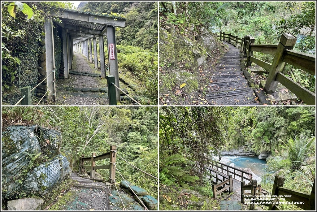 富源國家森林遊樂園(花蓮蝴蝶谷溫泉渡假村)-2022-11-49.jpg 富源國家森林遊樂園(花蓮蝴蝶谷溫泉渡假村)-2022-11-49.jpg