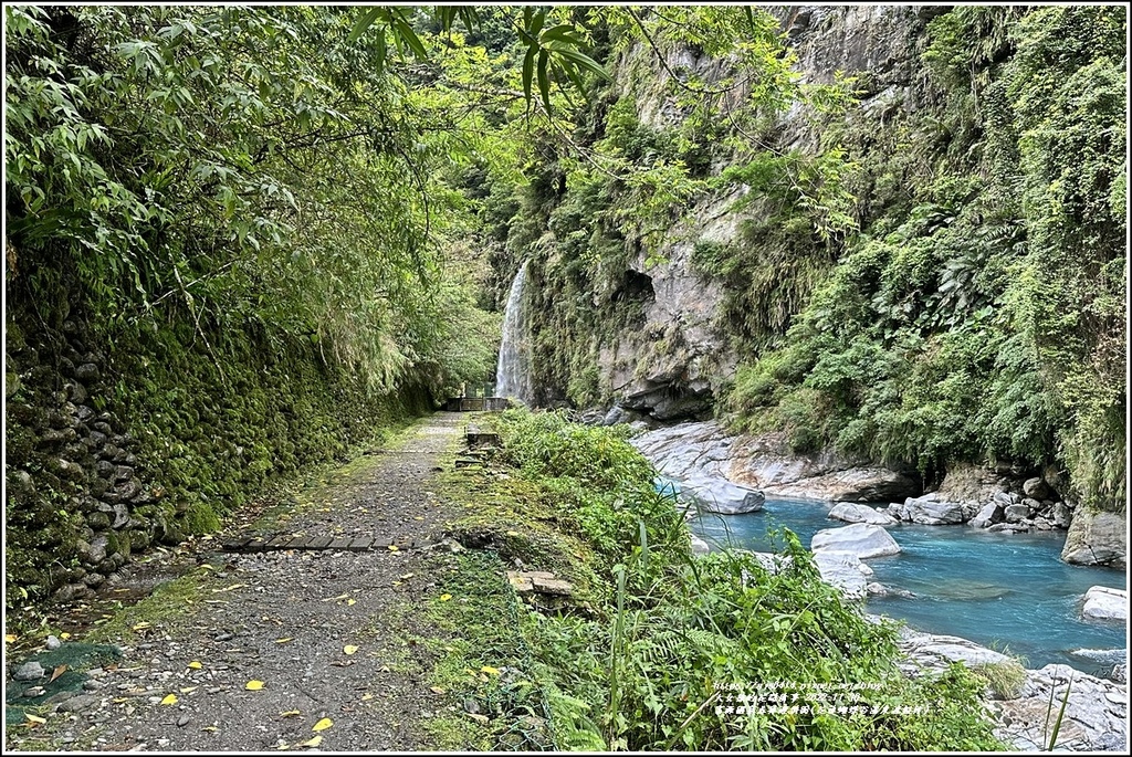 富源國家森林遊樂園(花蓮蝴蝶谷溫泉渡假村)-2022-11-58.jpg 富源國家森林遊樂園(花蓮蝴蝶谷溫泉渡假村)-2022-11-58.jpg