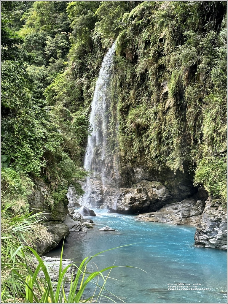 富源國家森林遊樂園(花蓮蝴蝶谷溫泉渡假村)-2022-11-62.jpg 富源國家森林遊樂園(花蓮蝴蝶谷溫泉渡假村)-2022-11-62.jpg