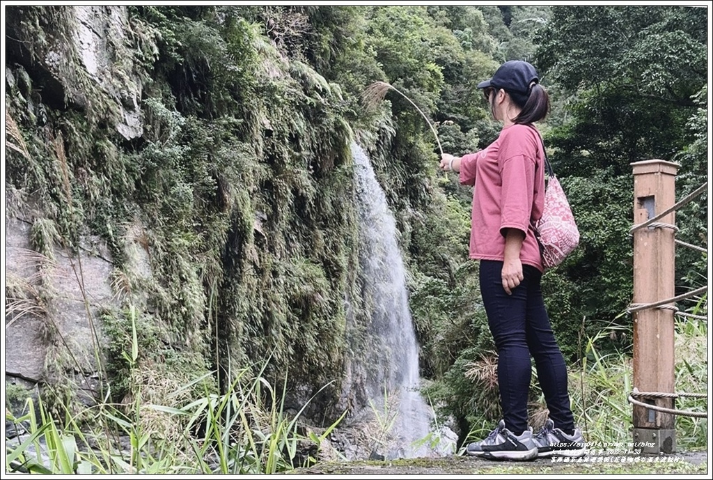 富源國家森林遊樂園(花蓮蝴蝶谷溫泉渡假村)-2022-11-72.jpg 富源國家森林遊樂園(花蓮蝴蝶谷溫泉渡假村)-2022-11-72.jpg