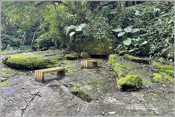 富源國家森林遊樂園(花蓮蝴蝶谷溫泉渡假村)-2022-11-76.jpg