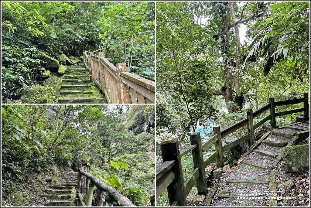 富源國家森林遊樂園(花蓮蝴蝶谷溫泉渡假村)-2022-11-77.jpg 富源國家森林遊樂園(花蓮蝴蝶谷溫泉渡假村)-2022-11-77.jpg