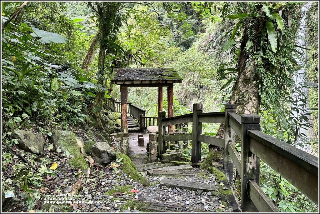 富源國家森林遊樂園(花蓮蝴蝶谷溫泉渡假村)-2022-11-79.jpg