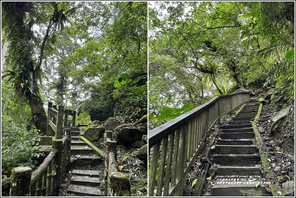 富源國家森林遊樂園(花蓮蝴蝶谷溫泉渡假村)-2022-11-85.jpg 富源國家森林遊樂園(花蓮蝴蝶谷溫泉渡假村)-2022-11-85.jpg