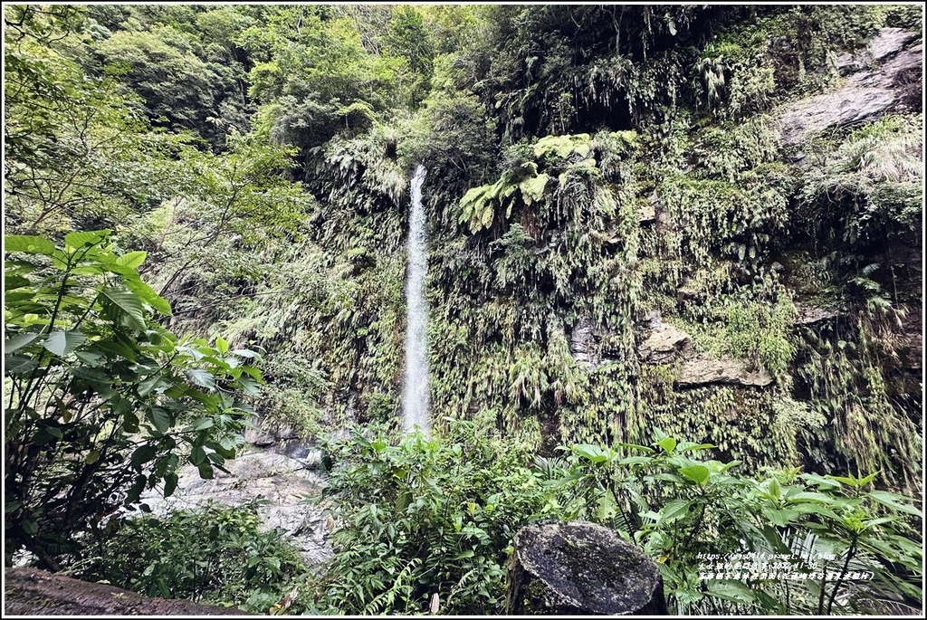 富源國家森林遊樂園(花蓮蝴蝶谷溫泉渡假村)-2022-11-83.jpg 富源國家森林遊樂園(花蓮蝴蝶谷溫泉渡假村)-2022-11-83.jpg