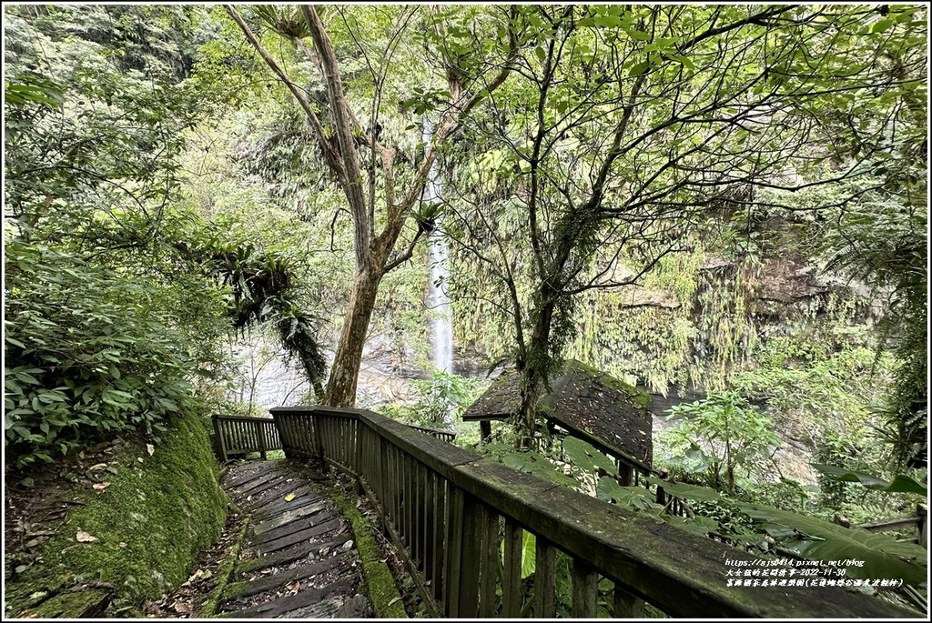 富源國家森林遊樂園(花蓮蝴蝶谷溫泉渡假村)-2022-11-87.jpg 富源國家森林遊樂園(花蓮蝴蝶谷溫泉渡假村)-2022-11-87.jpg