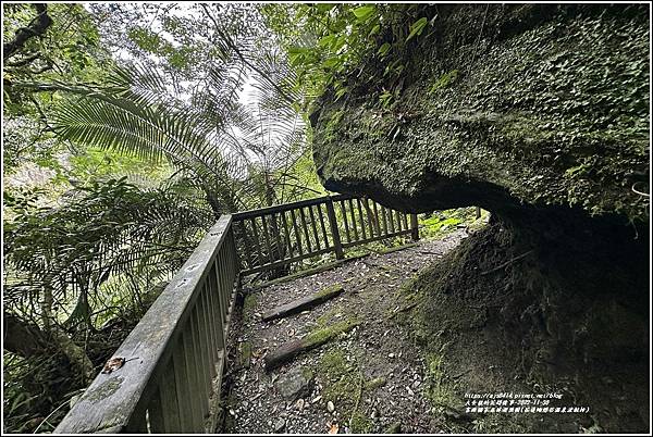富源國家森林遊樂園(花蓮蝴蝶谷溫泉渡假村)-2022-11-88.jpg