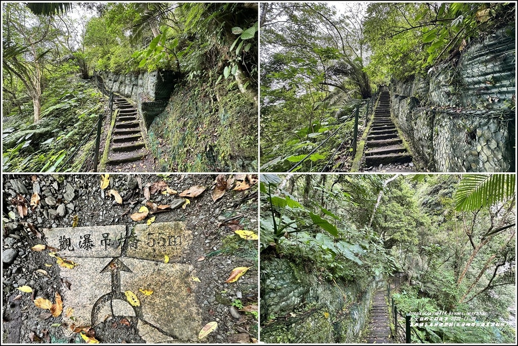 富源國家森林遊樂園(花蓮蝴蝶谷溫泉渡假村)-2022-11-89.jpg