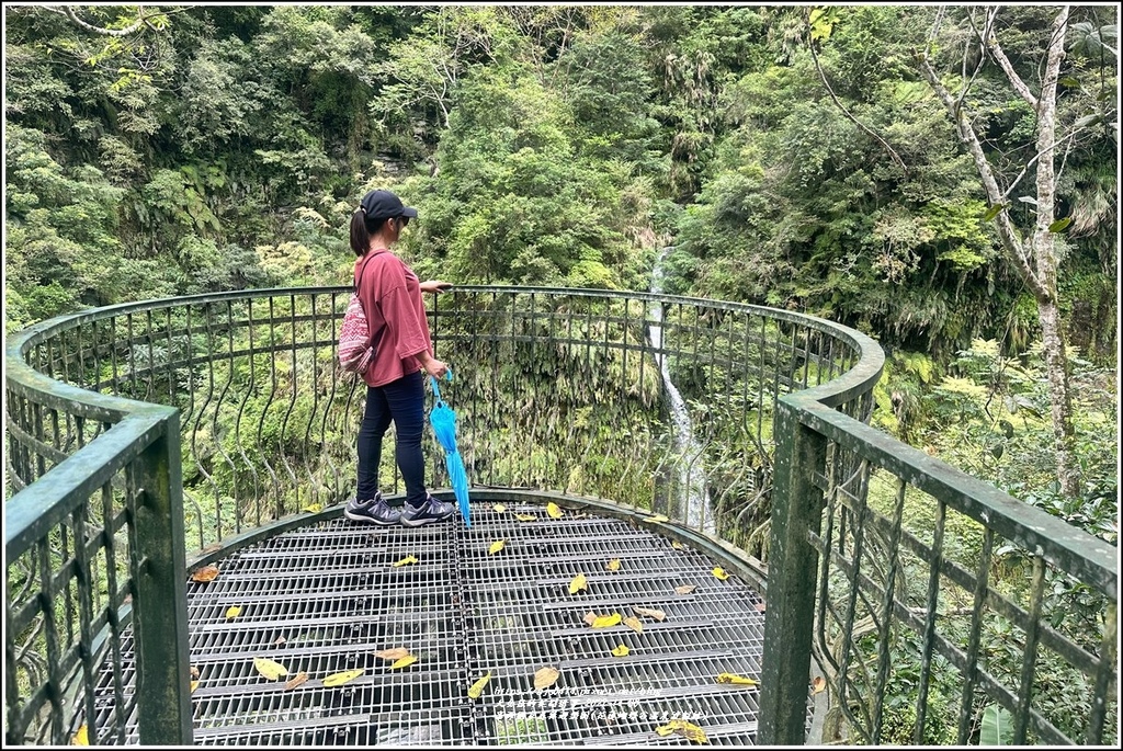 富源國家森林遊樂園(花蓮蝴蝶谷溫泉渡假村)-2022-11-97.jpg 富源國家森林遊樂園(花蓮蝴蝶谷溫泉渡假村)-2022-11-97.jpg