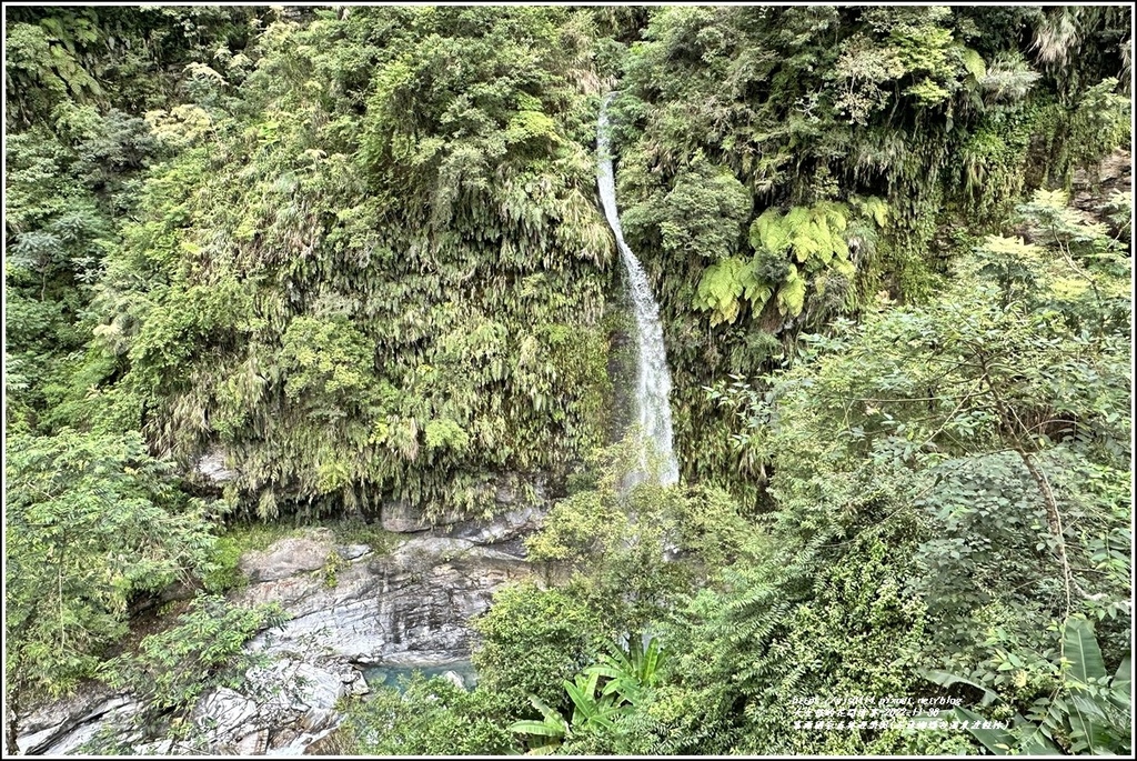 富源國家森林遊樂園(花蓮蝴蝶谷溫泉渡假村)-2022-11-98.jpg 富源國家森林遊樂園(花蓮蝴蝶谷溫泉渡假村)-2022-11-98.jpg