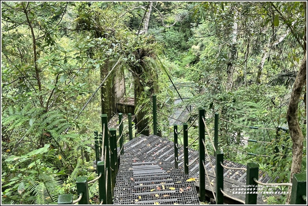 富源國家森林遊樂園(花蓮蝴蝶谷溫泉渡假村)-2022-11-100.jpg 富源國家森林遊樂園(花蓮蝴蝶谷溫泉渡假村)-2022-11-100.jpg