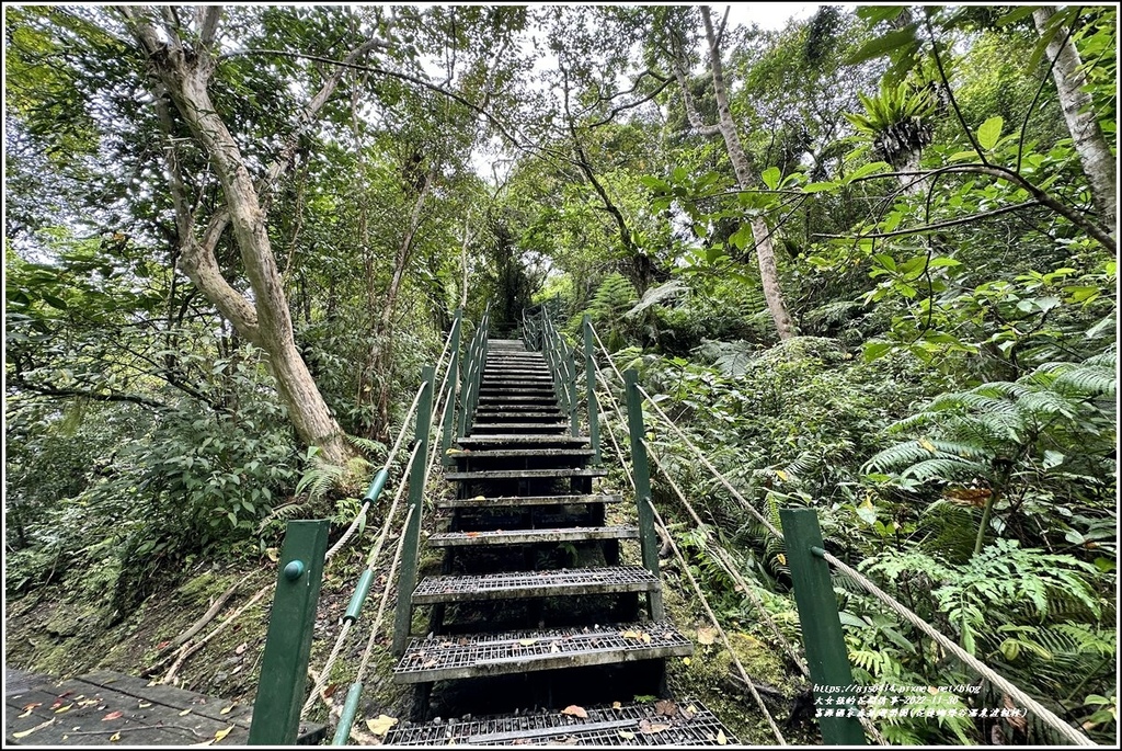 富源國家森林遊樂園(花蓮蝴蝶谷溫泉渡假村)-2022-11-99.jpg 富源國家森林遊樂園(花蓮蝴蝶谷溫泉渡假村)-2022-11-99.jpg