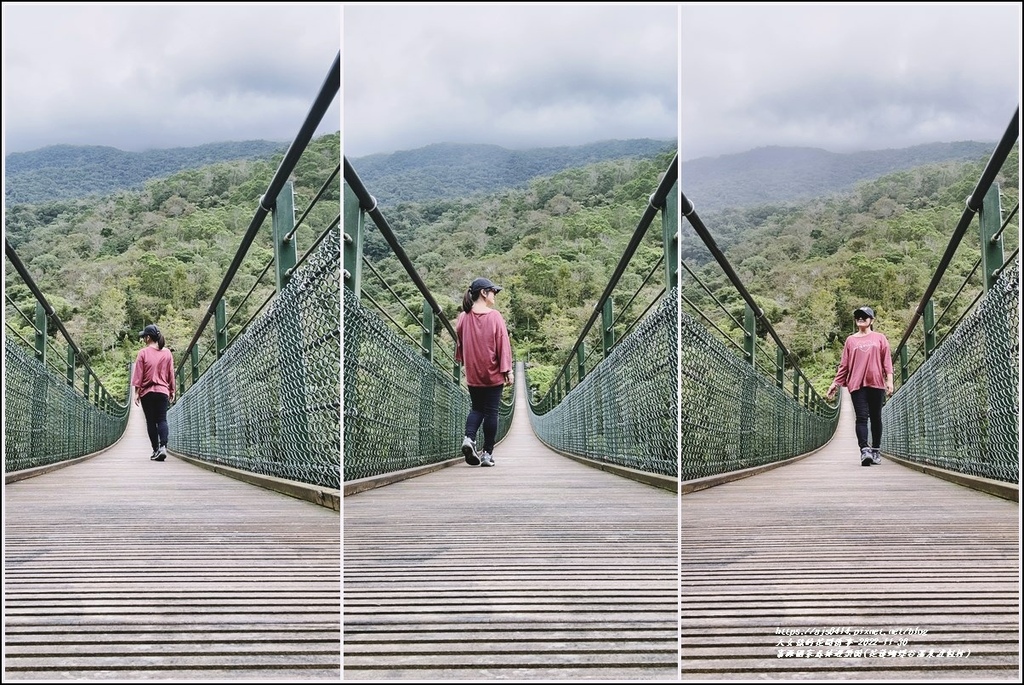 ,花蓮,富源國家森林遊樂區,環山步道,龍吟吊橋,花蓮景點,花蓮步道,瑞穗景點,蝴蝶谷,