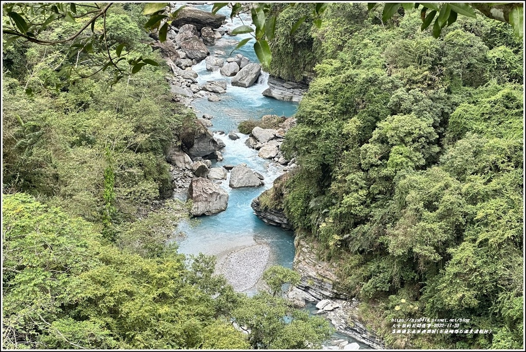 富源國家森林遊樂園(花蓮蝴蝶谷溫泉渡假村)-2022-11-131.jpg