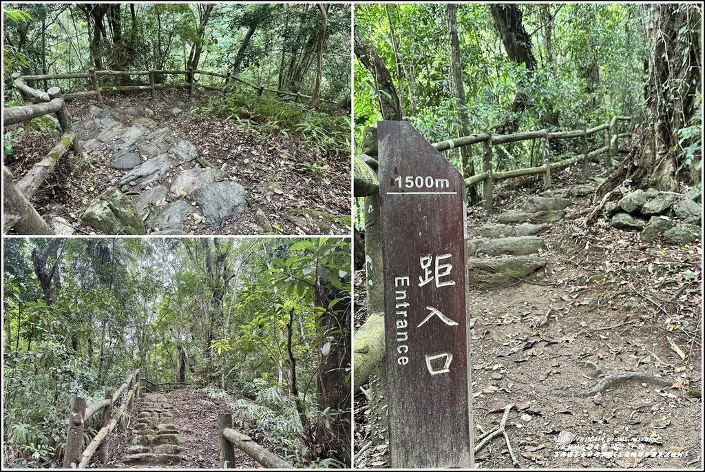 富源國家森林遊樂園(花蓮蝴蝶谷溫泉渡假村)-2022-11-141.jpg