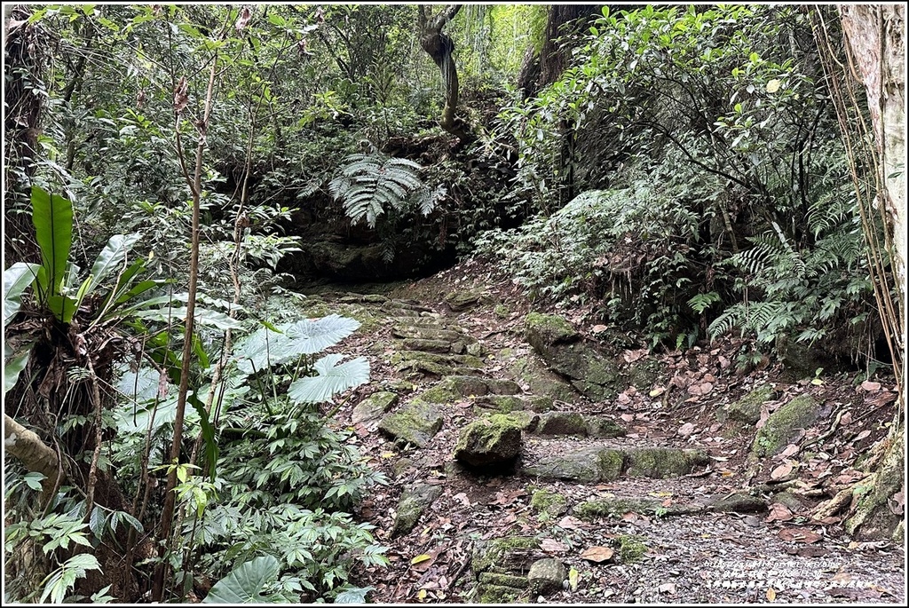 富源國家森林遊樂園(花蓮蝴蝶谷溫泉渡假村)-2022-11-144.jpg