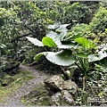 富源國家森林遊樂園(花蓮蝴蝶谷溫泉渡假村)-2022-11-148.jpg