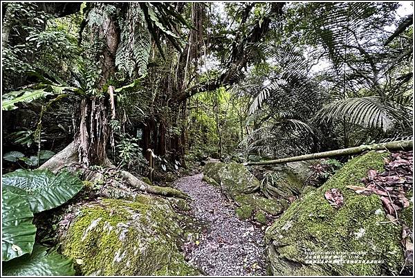 富源國家森林遊樂園(花蓮蝴蝶谷溫泉渡假村)-2022-11-150.jpg