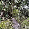 富源國家森林遊樂園(花蓮蝴蝶谷溫泉渡假村)-2022-11-150.jpg