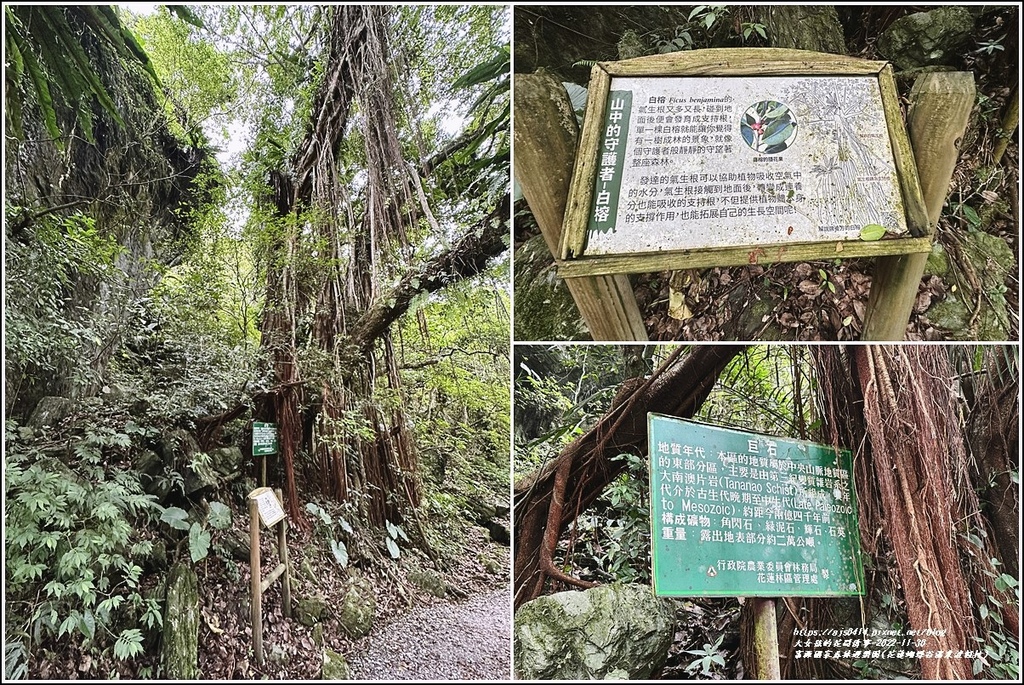 富源國家森林遊樂園(花蓮蝴蝶谷溫泉渡假村)-2022-11-151.jpg