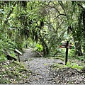 富源國家森林遊樂園(花蓮蝴蝶谷溫泉渡假村)-2022-11-156.jpg