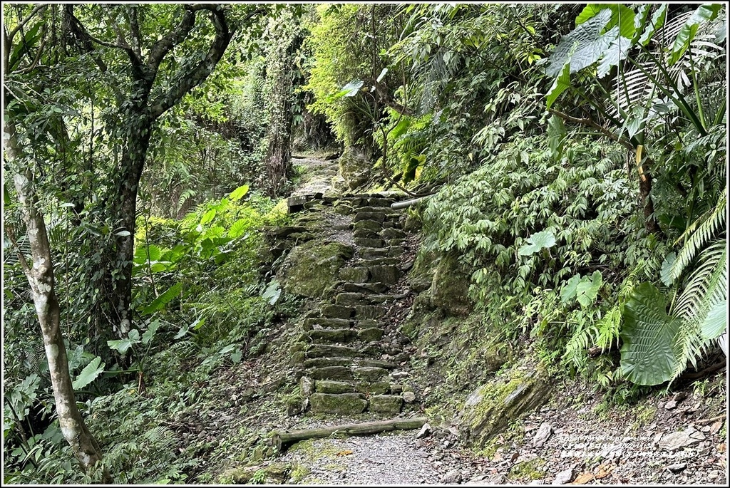 富源國家森林遊樂園(花蓮蝴蝶谷溫泉渡假村)-2022-11-171.jpg